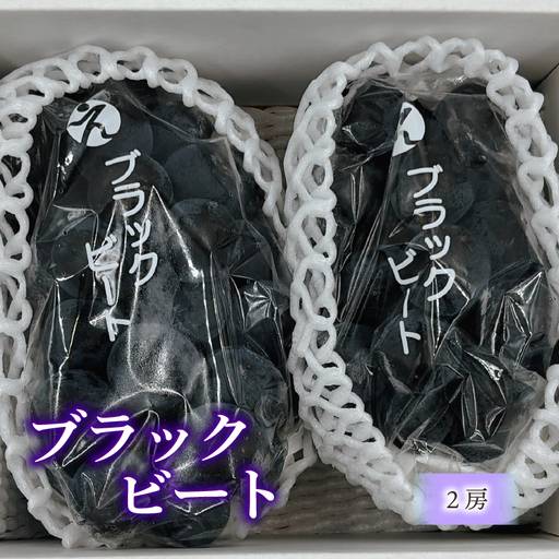 [2026年8月下旬頃から順次発送] ブラックビート 2房 約900g 秀品 | ぶどう 葡萄 フルーツ 果物 産地直送 期間限定 くだもの ぶどう 葡萄 ブドウ おすすめ 人気 旬 フルーツ 愛媛県 松山市