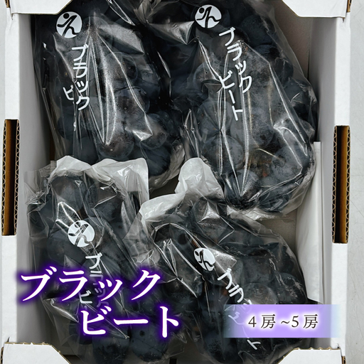 【2026年8月下旬頃から順次発送】 ブラックビート 4～5房 約1.8 kg 秀品 | ぶどう 葡萄 フルーツ 果物 産地直送  期間限定 くだもの ぶどう 葡萄 ブドウ おすすめ 人気 旬 フルーツ 愛媛県 松山市【FA115】