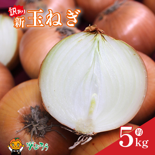 [訳あり] 新玉ねぎ 約5kg [4月上旬頃〜6月下旬頃発送予定] | 新玉 新玉ねぎ 野菜 新玉葱 たまねぎ タマネギ 玉ねぎ 玉葱 野菜 愛媛 松山