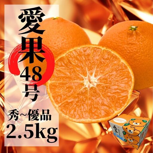 [2027年2月下旬頃から順次発送]愛果48号 秀〜優品 約2.5kg | 愛媛 愛媛県産みかん 蜜柑 ミカン mikan みかん あいか 柑橘 お取り寄せ グルメ 期間限定 数量限定 果物 旬 愛媛県 松山市 