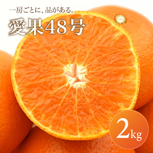 [2027年2月下旬頃から順次発送]あいか48号 家庭用 2kg | みかん 愛果48号 あいか 蜜柑 アイカ 柑橘 果物 愛媛のみかん くだもの 贈答 フルーツ ご家庭用 数量限定 愛媛県産 ミカン 愛媛県 松山市 