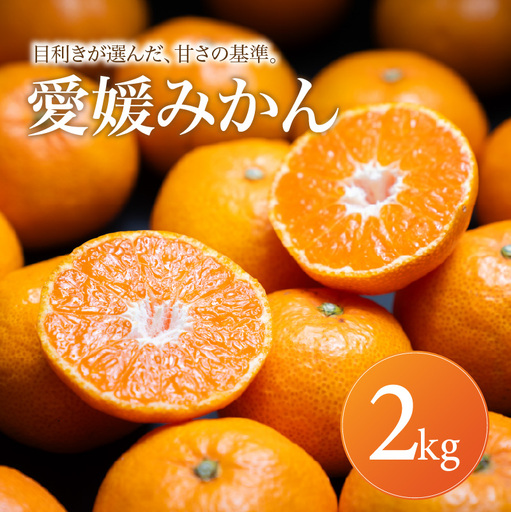愛媛 みかん 家庭用 2kg [2026年11月上旬頃から順次発送] | 温州みかん ミカン mikan みかん 蜜柑 訳ありフルーツ 柑橘 果物 おすすめ お勧め お取り寄せ ギフト 愛媛県 松山市 