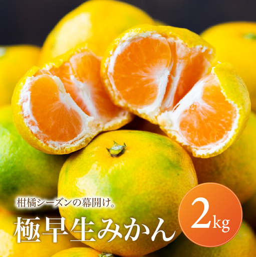 愛媛 極早生 みかん 家庭用 2kg [2026年10月上旬頃から順次発送] | 温州みかん ミカン ごくわせ mikan みかん 蜜柑 訳ありフルーツ 柑橘 果物 おすすめ お勧め お取り寄せ ギフト 愛媛県 松山市 