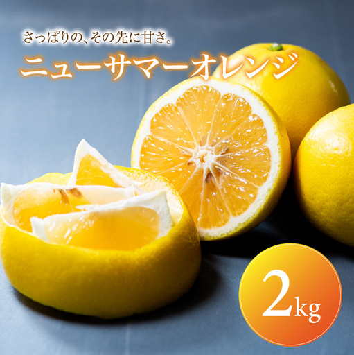 ニューサマーオレンジ 家庭用 2kg [2027年4月中旬頃から順次発送] | みかん ミカン mikan 蜜柑 訳ありフルーツ 柑橘 果物 おすすめ お勧め お取り寄せ ギフト 愛媛県 松山市 