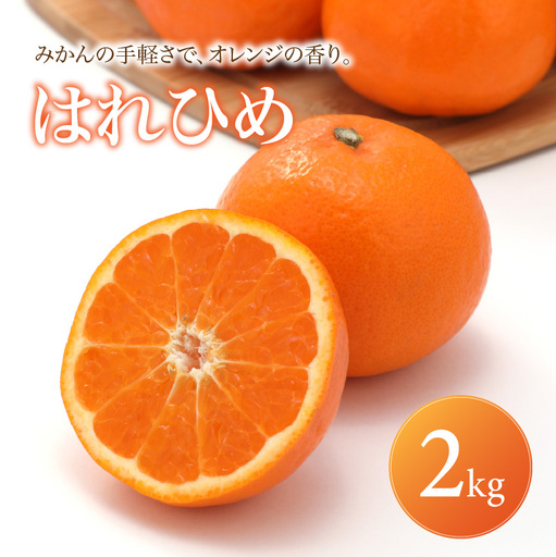 はれひめ 家庭用 2kg [2027年1月上旬頃から順次発送] | みかん ミカン mikan 蜜柑 訳ありフルーツ 柑橘 果物 おすすめ お勧め お取り寄せ ギフト 愛媛県 松山市 