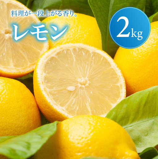 イエロー レモン 家庭用 2kg [2027年1月中旬頃から順次発送] | れもん レモン lemon 檸檬 訳あり フルーツ 柑橘 果物 おすすめ お勧め お取り寄せ ギフト 愛媛県 松山市 