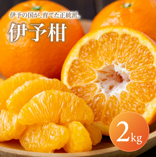 伊予柑 家庭用 2kg [2027年1月上旬頃から順次発送] | みかん ミカン mikan みかん 蜜柑 訳ありフルーツ 柑橘 果物 おすすめ お勧め お取り寄せ ギフト 愛媛県 松山市 