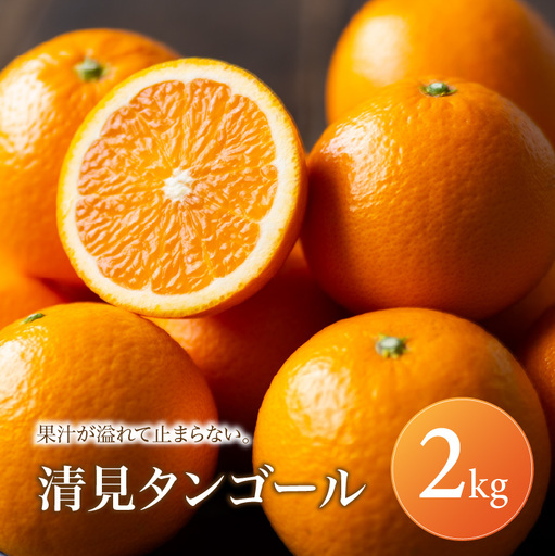 清見タンゴール 家庭用 2kg [2027年2月下旬頃から順次発送] | 清見 タンゴール みかん ミカン mikan 蜜柑 訳ありフルーツ 柑橘 果物 おすすめ お勧め お取り寄せ ギフト 愛媛県 松山市 