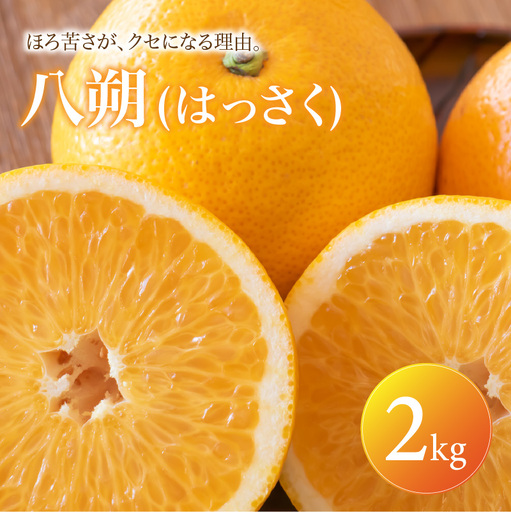 八朔 家庭用 2kg [2027年2月上旬頃から順次発送] | はっさく みかん ハッサク ミカン mikan hassaku 蜜柑 訳ありフルーツ 柑橘 果物 おすすめ お勧め お取り寄せ ギフト 愛媛県 松山市 