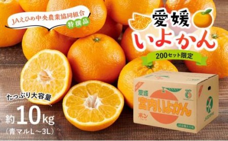 200セット限定★ JA特選品 伊予柑10kg(青マルL〜3L)[EN0071]