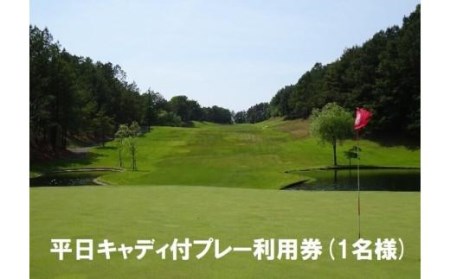 [ゴルフ利用券]エリエール ゴルフクラブ松山 平日キャディ付プレー利用券1名 