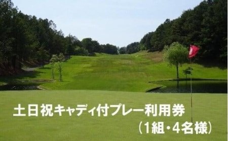 【ゴルフ利用券】エリエール ゴルフクラブ松山 土日祝キャディ付プレー利用券４名１組 | ゴルフ ゴルフ ゴルフ ゴルフ 【ER007】