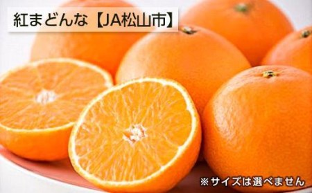 [11月下旬から発送] 松山市興居島産 紅まどんな L〜3Lサイズ( みかん 紅まどんな 高級 柑橘 フルーツ 果物 蜜柑 みかん 愛媛 フルーツ 松山 みかん )[FA0451]