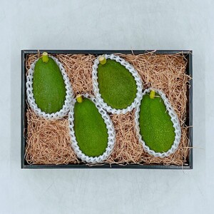 y11{甭\z  RsY A{Jh 1.1s i T_  ʕ wV[ A{Kh _CGbg ~l X̃o^[  h{ Y Q R jyFA0521z