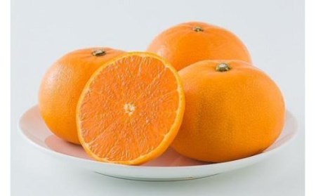 y3{z RsY Ƃ n L`3L 5kgi Y Q݂ Q~J ݂ ~J mikan  k t[c ʕ   Yn ʌ lC 