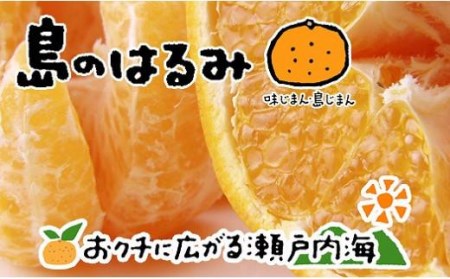 [2月中旬から発送] 希望の島 はるみ 8kg 愛媛 中島産 ( はるみ みかん 柑橘 中島 みかん はるみ みかん 愛媛県産 みかん はるみ みかん ) [FT013_x]