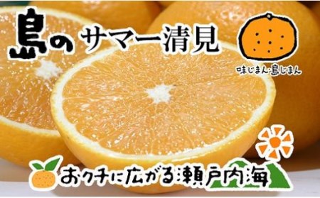 [4月上旬から発送] 希望の島 サマー清見 4kg 愛媛 中島産 ( サマー清見 みかん みかん 柑橘 中島 みかん サマー清見 みかん みかん 愛媛県産 みかん サマー清見 みかん みかん )[FT017_x]