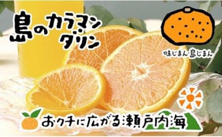 [5月上旬から発送] 希望の島 完熟春みかん(カラマンダリン) 3kg 愛媛 中島産 ( カラマンダリン みかん 柑橘 中島 愛媛県産 )[FT019_x]