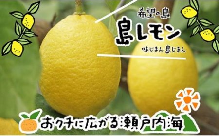 【10月中旬から発送】 希望の島 レモン 3kg 愛媛 中島産【FT022_x】