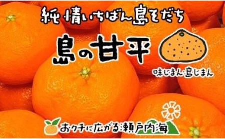 【2月中旬から発送予定】希望の島 甘平(かんぺい) 家庭用 約3kg 愛媛 中島産 おすすめ人気 愛媛県産 みかん 柑橘【FT033_x】