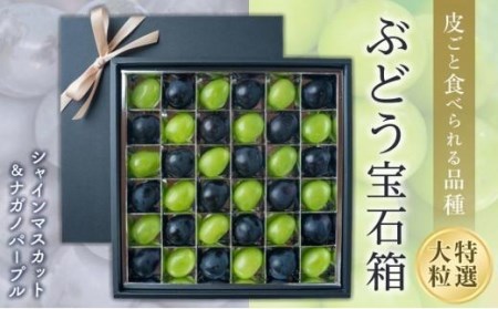 [2025収穫分先行予約] シャインマスカット ぶどう 大粒 特選 ぶどう宝石箱 ギフト ナガノパープル 約 600g 18粒 ずつ 1箱 36粒 
