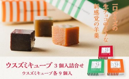 ウスズミキューブ3個入詰合せ(羊羹 お菓子 ウスズミヨウカン お菓子 ようかん お菓子 和菓子 お菓子 菓子 お菓子 )[HY005_x]