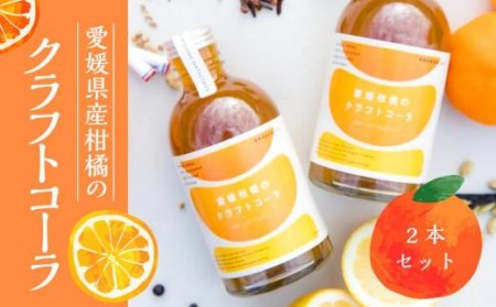 愛媛柑橘のクラフトコーラ[IG001_x]