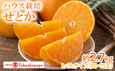 [2025年2月上旬から発送]せとか(ハウス)(JAえひめ中央)約2.7kg 3L~Lサイズ(10~15玉) (愛媛県産 みかん 蜜柑 オレンジ みかん 柑橘 果物 フルーツ 家庭用 お取り寄せ おすすめ 愛媛県 松山市 )[IYT045_x]