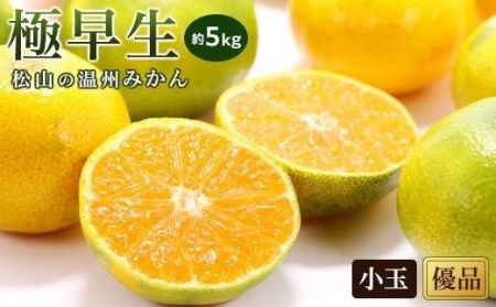 [先行予約][2025年10月中旬から発送予定]温州みかん「極早生」[優品・小玉]約5kg ( 愛媛産 愛媛県産 国産 愛媛みかん 愛媛蜜柑 ミカン みかん ミカン mikan 蜜柑 柑橘 フルーツ 果物 くだもの お取り寄せ 産地直送 数量限定 人気 おすすめ 愛媛県 松山市 送料無料 )[KK0491]