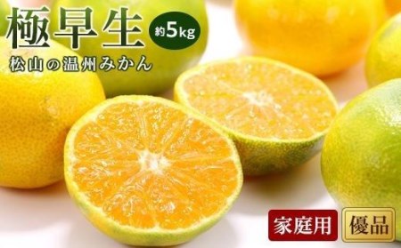 [先行予約][2025年10月中旬から発送予定]温州みかん「極早生」[優品・家庭用]約5kg ( 愛媛産 愛媛県産 国産 愛媛みかん 愛媛蜜柑 ミカン みかん ミカン mikan 蜜柑 柑橘 フルーツ 果物 くだもの お取り寄せ 産地直送 数量限定 人気 おすすめ 愛媛県 松山市 送料無料 )[KK0501]