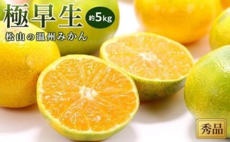 [先行予約][2025年10月中旬から発送予定]温州みかん「極早生」[秀品]約5kg ( 愛媛産 愛媛県産 国産 愛媛みかん 愛媛蜜柑 ミカン みかん ミカン mikan 蜜柑 柑橘 フルーツ 果物 くだもの お取り寄せ 産地直送 数量限定 人気 おすすめ 愛媛県 松山市 送料無料 )[KK0511]