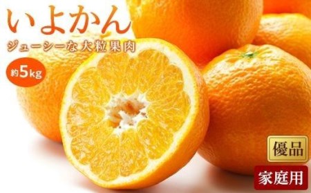 [1月中旬から発送予定]いよかん[優品・家庭用]約5kg ( 愛媛産 愛媛県産 国産 愛媛みかん 愛媛蜜柑 ミカン みかん ミカン mikan 蜜柑 柑橘 フルーツ 果物 くだもの お取り寄せ 産地直送 数量限定 人気 おすすめ 愛媛県 松山市 送料無料 )[KK0581]