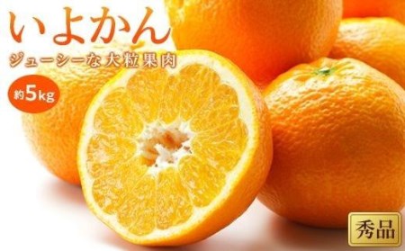 [1月中旬から発送予定]いよかん[秀品]約5kg ( 愛媛産 愛媛県産 国産 愛媛みかん 愛媛蜜柑 ミカン みかん ミカン mikan 蜜柑 柑橘 フルーツ 果物 くだもの お取り寄せ 産地直送 数量限定 人気 おすすめ 愛媛県 松山市 送料無料 )[KK0591]