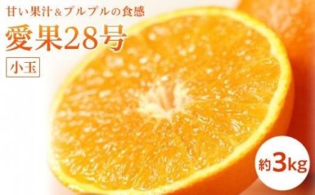 [11月下旬から発送予定]愛果28号[小玉]約3kg ( 愛媛産 愛媛県産 国産 愛媛みかん 愛媛蜜柑 ミカン みかん ミカン mikan 蜜柑 柑橘 フルーツ 果物 くだもの お取り寄せ 産地直送 数量限定 人気 おすすめ 愛媛県 松山市 送料無料 )[KK0601]