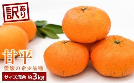 訳あり＞甘平(かんぺい) 約3kg (訳あり みかん 訳あり みかん 柑橘 訳
