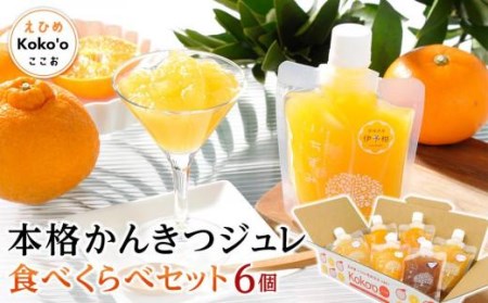 「いちずみ」食べ比べセット6個入り (ぶどう入り) (ココオ簡易BOX入り) おすすめ 人気 ギフト セット 愛媛県 松山市[KK0871]