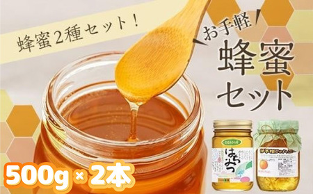 お手軽蜂蜜セット[KY004_x]