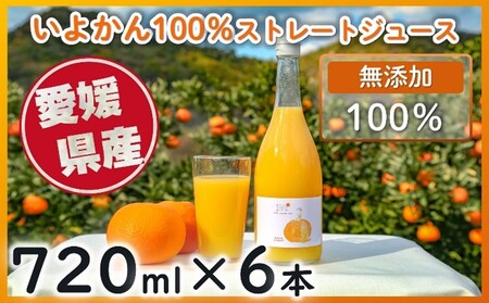 えひめ100みかんいよかんの返礼品 検索結果 | ふるさと納税サイト