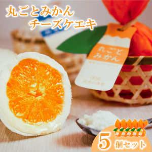 丸ごとみかんチーズケエキ5個セット ( チーズケーキ お菓子 道後温泉 蜜柑 みかん チーズ ケーキ スイーツ おやつ お菓子 レアチーズ ケーキ お菓子 道後 お菓子 道後温泉 チーズ ケーキ お菓子 みかん チーズ ケーキ )[ME002_x]