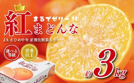 紅まどんな JAえひめ中央 正規化粧箱入 選べる 等級 青秀以上 JA 紅まどんな 紅マドンナ まどんな マドンナ みかん ミカン 蜜柑 果物 くだもの フルーツ 柑橘 柑橘類 かんきつ 愛媛果試第28号 常温 国産 愛媛 愛媛県 先行予約【11月 12月頃発送】【OS0042】