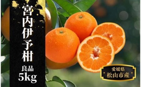 [宮内伊予柑]良品 約 5kg [2026年2月ー3月中旬頃発送] 柑橘 くだもの フルーツ 愛みかん 愛媛みかん ミカン フルーツ 果物 みかん 柑橘 甘いみかん[PT008_x]