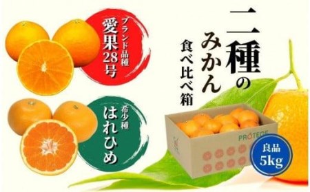 [早期予約受付中!2024年12月〜順次発送]二種のみかん食べ比べ箱 愛果28号・はれひめ(良品) 約 5kg (愛媛県産 みかん 蜜柑 オレンジ 柑橘 果物 フルーツ 家庭用 お取り寄せ おすすめ 愛媛県 松山市 )[PT015_x]