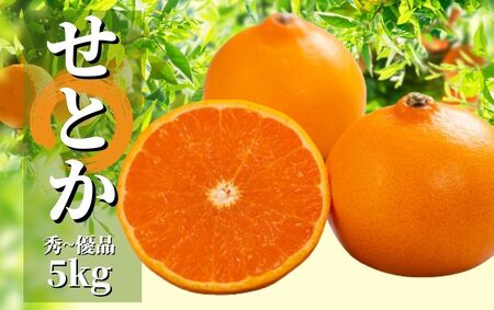 [せとか]秀~優品 約 5kg [2026年2月~3月頃発送] 愛媛 松山 みかん 先行予約 蜜柑 柑橘 果物 くだもの フルーツ お取り寄せ グルメ 期間限定 数量限定 人気 おすすめ 愛媛県 松山市[PT019_x]
