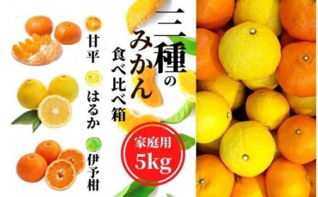 [三種のみかん食べ比べ箱]甘平・はるか・宮内伊予柑 (家庭用)約5kg [2月から順次発送] みかん 柑橘 フルーツ 蜜柑 果物[PT020_x]