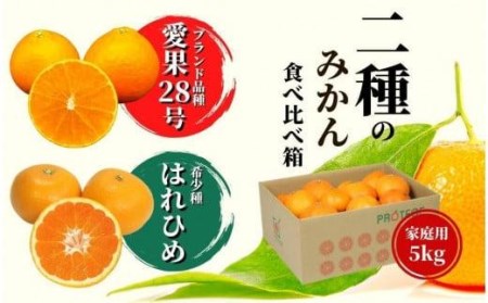 [早期予約受付中!2024年12月〜順次発送]二種のみかん食べ比べ箱 愛果28号・はれひめ(家庭用) 約 5kg (愛媛 みかん 蜜柑 みかんセット 蜜柑セット 果物 みかん 蜜柑 食べ比べ みかん 蜜柑 )[PT023_x]