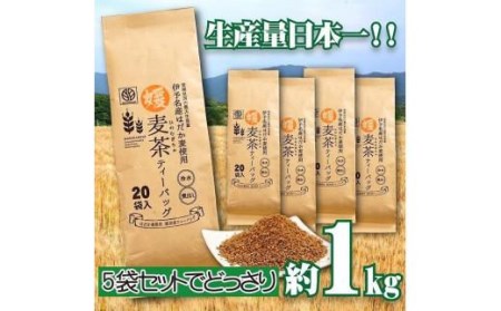 [生産者支援]えひめ はだか麦 媛麦茶 1kg分 (お茶 麦茶 はだか麦 お茶 愛媛 お茶 飲料 お茶 )[SNE006_x]