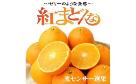 [先行予約][2024年11月下旬頃から発送] 紅まどんな 約3kg(8~15玉) 愛媛 みかん ( 蜜柑 紅まどんな 柑橘 紅まどんな 果物 紅まどんな くだもの 紅まどんな フルーツ 紅まどんな 愛媛県 松山市[SSK0021]