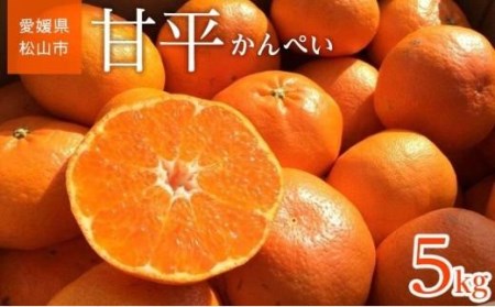 [ご家庭用] 先行予約 甘平5kg みかん 先行予約 柑橘 果物 くだもの フルーツ お楽しみ お取り寄せ グルメ 期間限定 数量限定 人気 おすすめ ギフト 愛媛県 松山市[SU001_x]