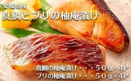 愛媛県産真鯛とブリの柚庵漬け 各4パックセット | 海鮮 魚介 鯛 ブリ 簡単調理のお惣菜 惣菜 ご飯のお供 酒の肴 愛媛県 松山市[TS030_x]