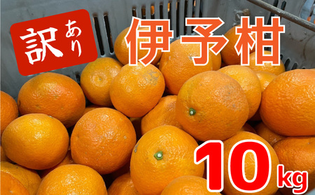 [1月中旬から発送予定]伊予柑10キロ (訳あり) | いよかん みかん 伊予柑 みかん いよかん 伊予柑 訳あり みかん 10kg 柑橘 [KR006_x]